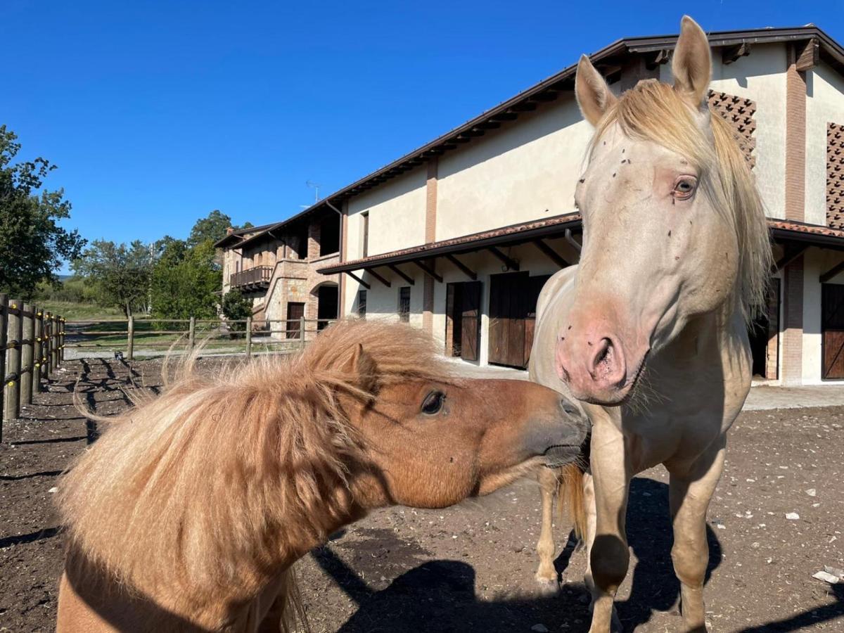 Agriturismo Cergallina Vernasca Ngoại thất bức ảnh