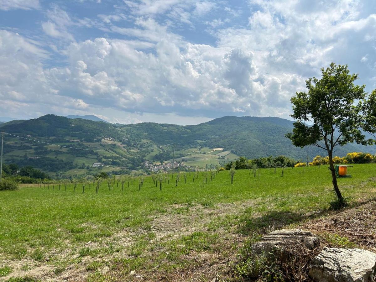 Agriturismo Cergallina Vernasca Ngoại thất bức ảnh