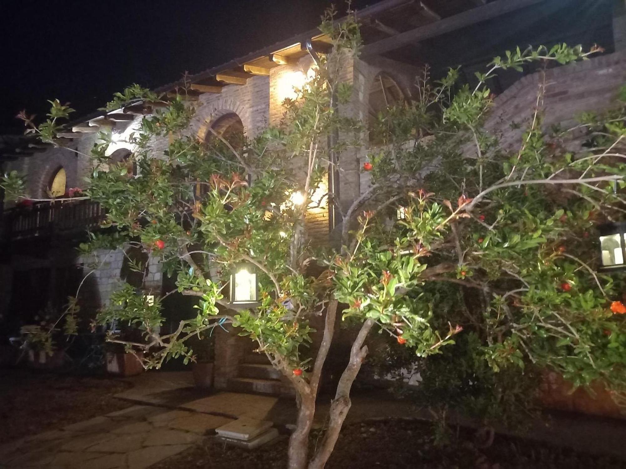 Agriturismo Cergallina Vernasca Ngoại thất bức ảnh
