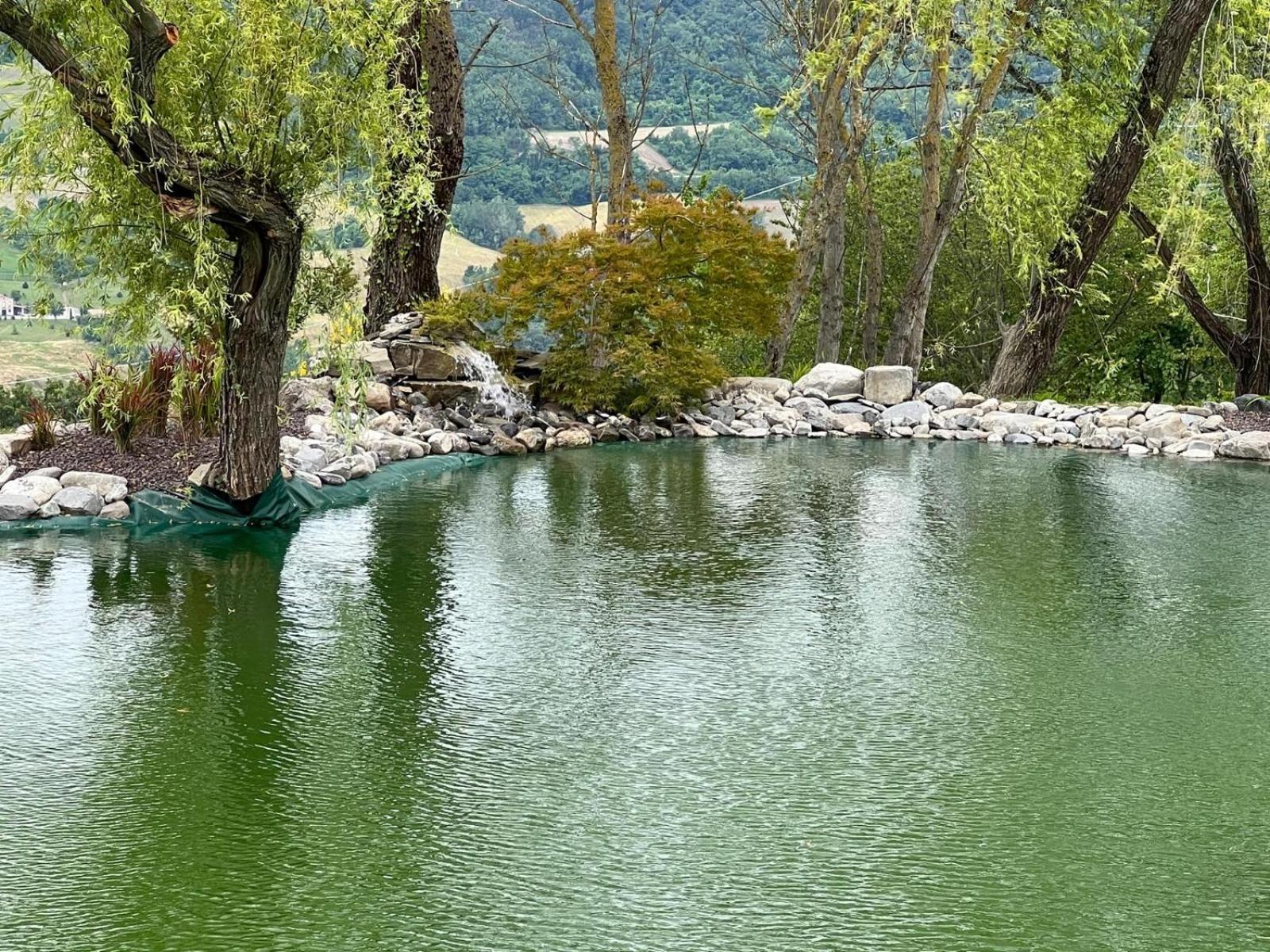 Agriturismo Cergallina Vernasca Ngoại thất bức ảnh