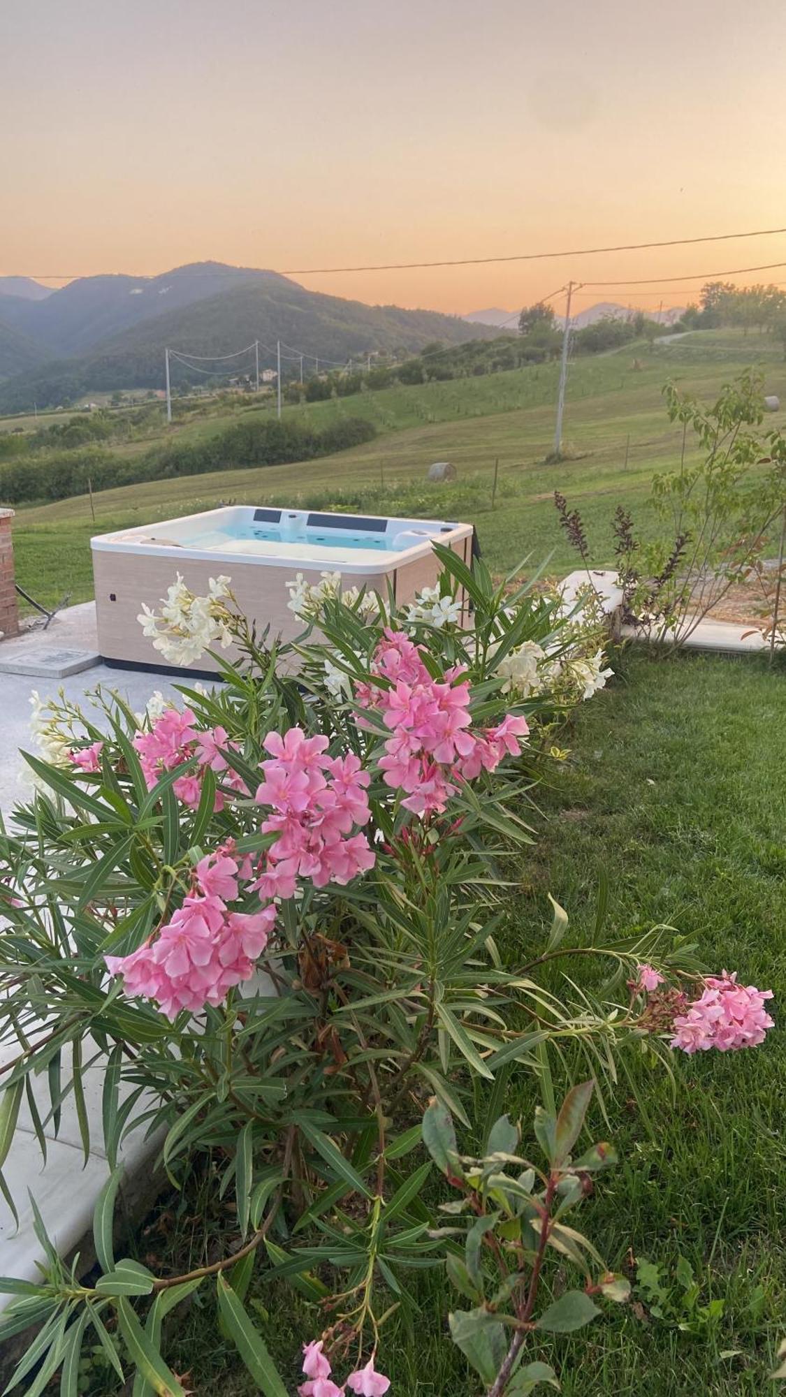 Agriturismo Cergallina Vernasca Ngoại thất bức ảnh
